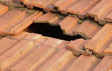 roof repair Contin, Highland